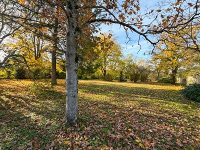 For sale Saint-clement 6 rooms 124 m2 Yonne (89100) photo 3