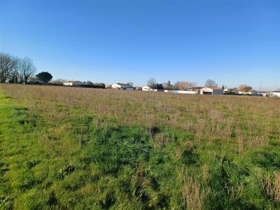 Annonce Vente Terrain Grezac 17