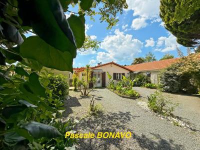 Annonce Vente 13 pices Maison Vendays-montalivet 33