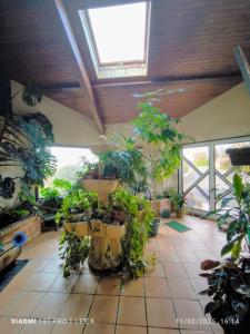 Acheter Maison Hinx 385000 euros