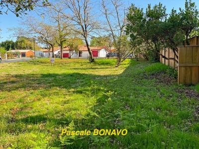 Annonce Vente Terrain Hourtin 33