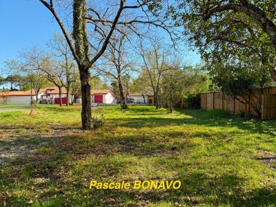 Acheter Terrain 732 m2 Hourtin