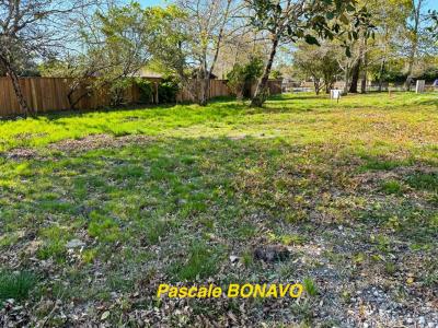 Acheter Terrain Hourtin Gironde