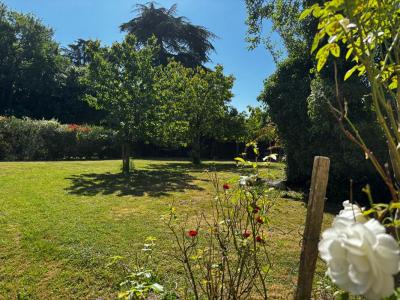 Annonce Vente 5 pices Maison Brissac-quince 49