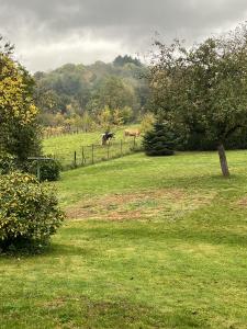 For sale Liepvre LIAPVRE 5 rooms 100 m2 Haut rhin (68660) photo 3