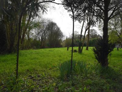 Acheter Terrain Mareil-en-champagne 22500 euros