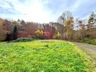 For sale Mazaye 3200 m2 Puy de dome (63230) photo 0