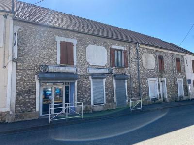 Acheter Maison 500 m2 Ferte-gaucher