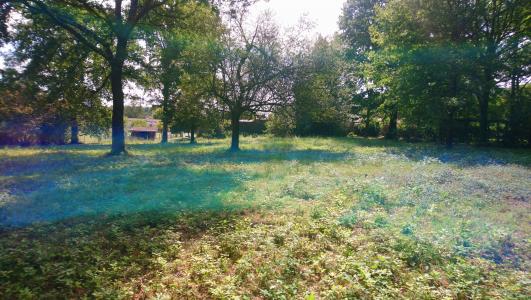 For sale Roaillan Gironde (33210) photo 2