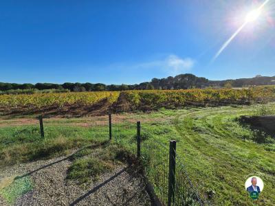 For sale Vidauban 6 rooms 145 m2 Var (83550) photo 1