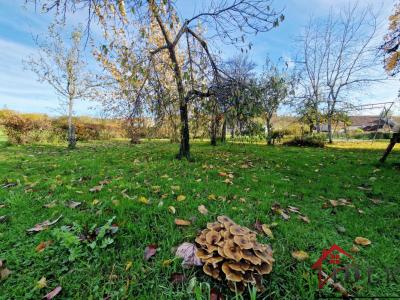 Annonce Vente 6 pices Maison Aigremont 52