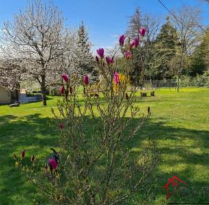 Acheter Maison 195 m2 Saint-julien