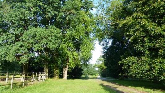 For sale 14 rooms 240 m2 Loiret (45600) photo 3