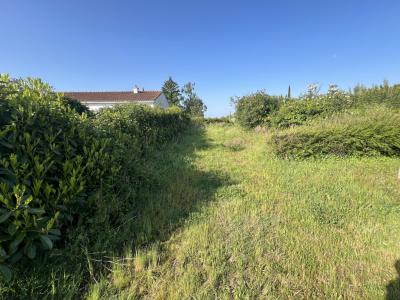 For sale Loire atlantique (44690) photo 2