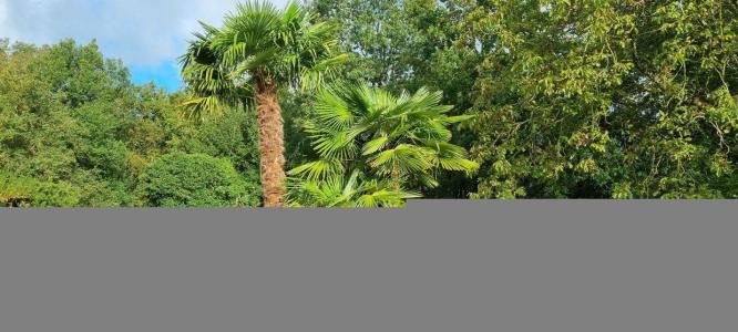 For sale 9 rooms 275 m2 Loir et cher (41100) photo 0