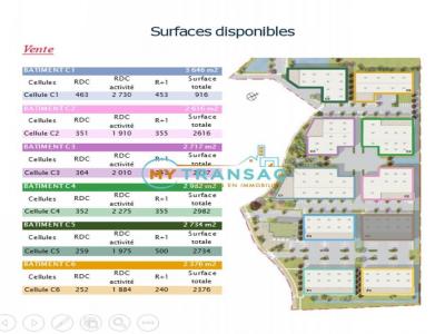 Annonce Vente Commerce Villebon-sur-yvette 91