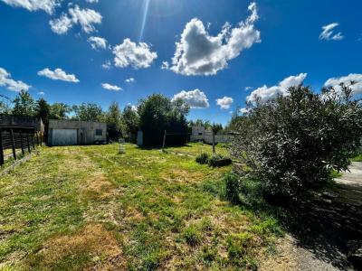 Annonce Vente 3 pices Maison Ile-d'elle 85