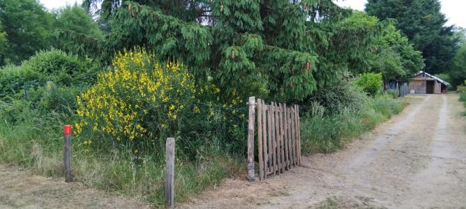 For sale Bordes 1660 m2 Loiret (45460) photo 0