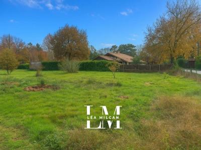 Annonce Vente Terrain Louchats 33