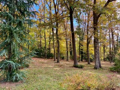 For sale Orgeval 6 rooms 170 m2 Yvelines (78630) photo 1