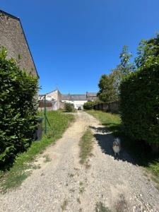 Acheter Terrain 446 m2 Temple-de-bretagne