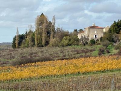 For sale Castelviel 6 rooms 160 m2 Gironde (33540) photo 1