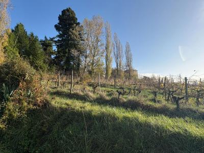 For sale Castelviel 6 rooms 160 m2 Gironde (33540) photo 2