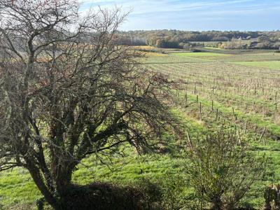 For sale Castelviel 6 rooms 160 m2 Gironde (33540) photo 3