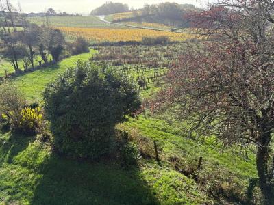 For sale Castelviel 6 rooms 160 m2 Gironde (33540) photo 4
