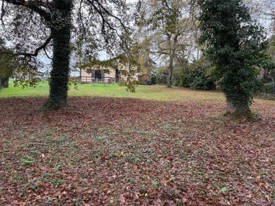 Annonce Vente 4 pices Maison Roaillan 33