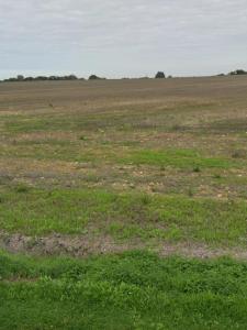 Annonce Vente Terrain Villedoux 17