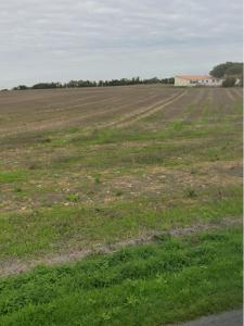 Acheter Terrain 441 m2 Villedoux