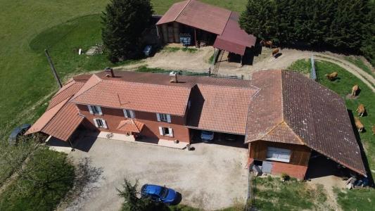 Annonce Vente 5 pices Maison Blajan 31