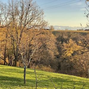 For sale Viella 7 rooms 173 m2 Gers (32400) photo 1