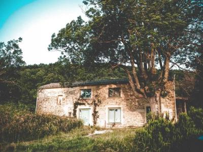 Annonce Vente Prestige Bugarach 11