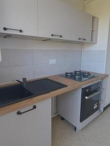 For rent Riom 3 rooms 52 m2 Puy de dome (63200) photo 1