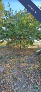 Acheter Terrain 27 m2 Saint-series