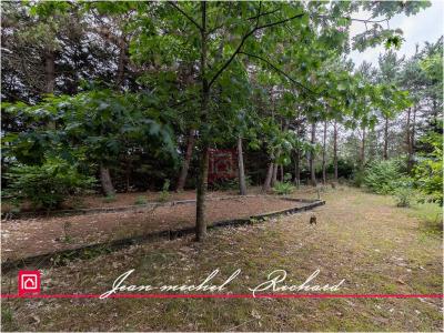 For sale Soings-en-sologne 5 rooms 164 m2 Loir et cher (41230) photo 1