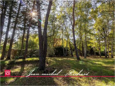 For sale Chatillon-sur-cher 7 rooms 150 m2 Loir et cher (41130) photo 1