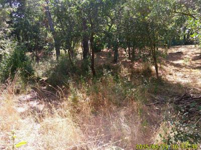 For sale Mayons 1200 m2 Var (83340) photo 3