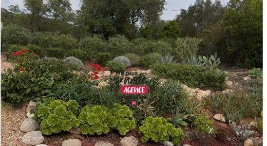 Acheter Maison Sainte-lucie-de-porto-vecchio Corse