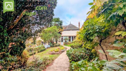 Life-annuity Bourgueil 7 rooms 185 m2 Indre et loire (37140) photo 0