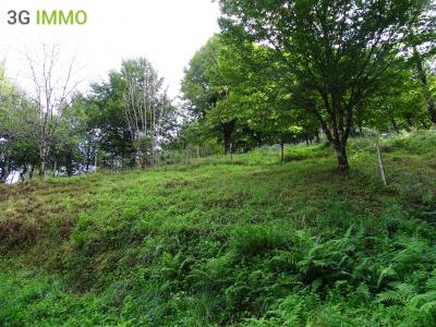 Annonce Vente Parking Laval-de-cere 46