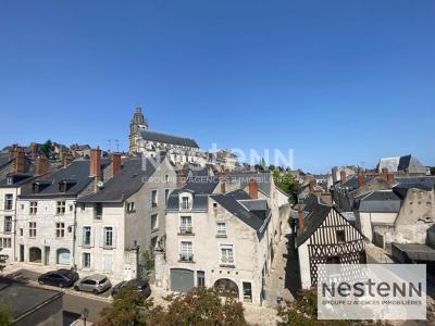 Louer Appartement Blois Loir et cher