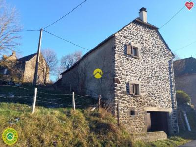 Acheter Maison Allanche Cantal