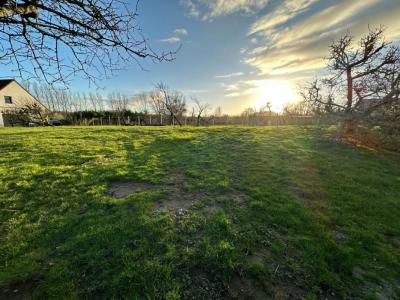 For sale Condette 877 m2 Pas de calais (62360) photo 3