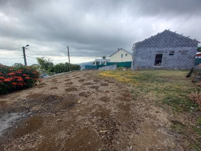 For sale BOIS DE NFLES 60 m2 Reunion (97411) photo 4