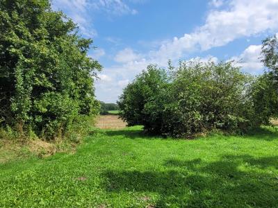 For sale 8 rooms 239 m2 Eure et loir (28330) photo 1