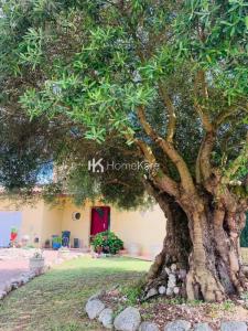 Acheter Maison Saint-alban 498000 euros