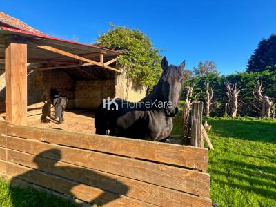 Acheter Maison Saint-gaudens 254000 euros